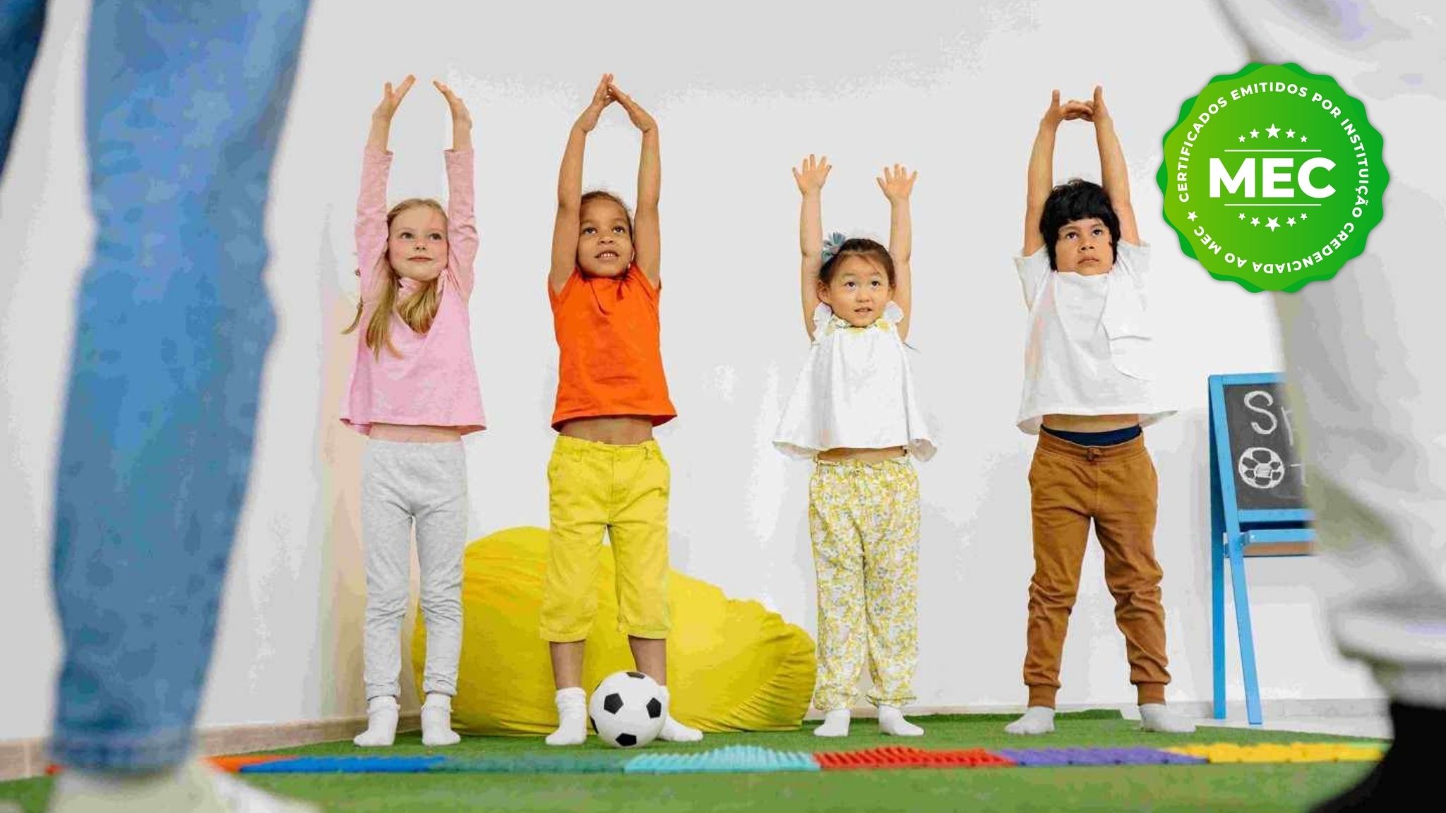 
                    Educação Física Escolar